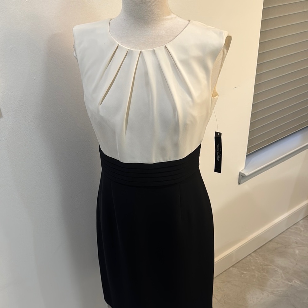 Elegant Black and White Sleeveless Dress
